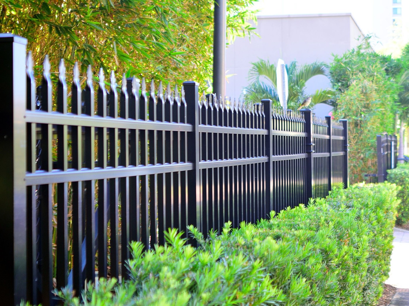 Black metal fence for security and boundary